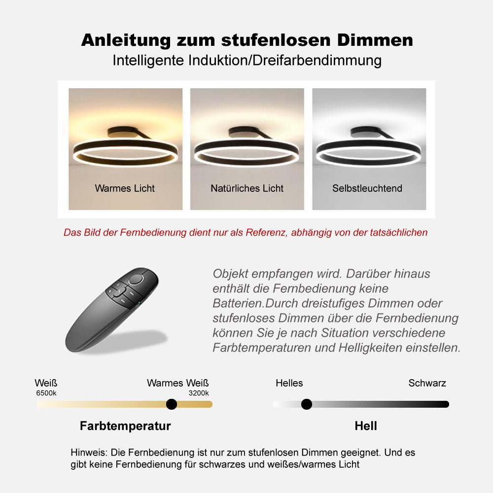 Arisha Deckenleuchte Ring  Modern LED  Schwarz/Weiß Wohnzimmer Flur Metall